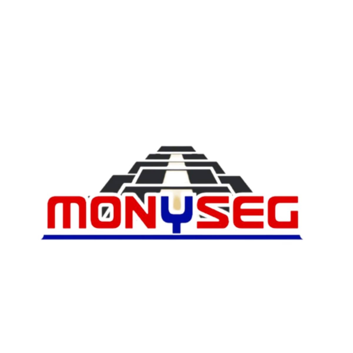 Logo Monyseg